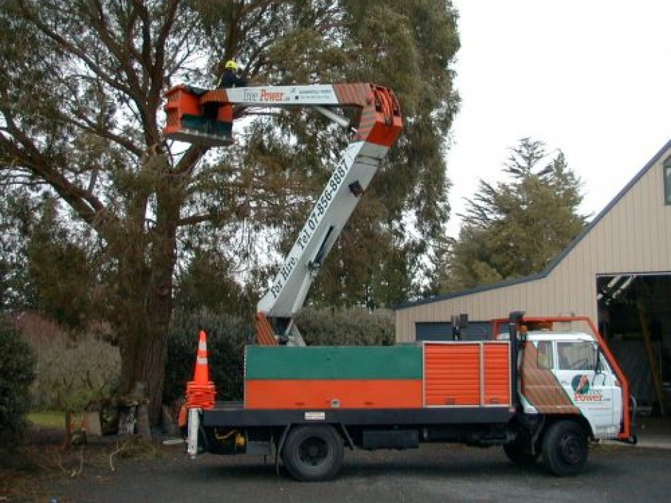 Tree_work___this_week_2_009-5-500-400-80-c