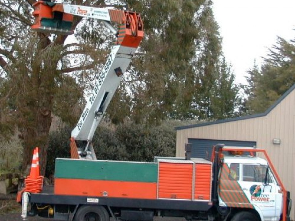 Tree_work___this_week_2_013-7-500-400-80-c